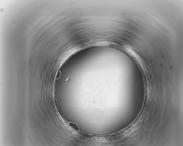 X0000086981194200704231811