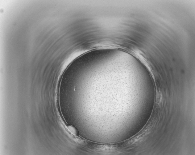 X0000086981195200704231811