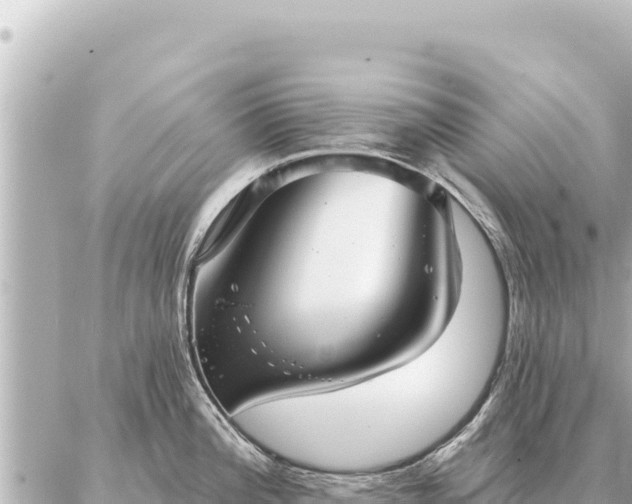 X0000086981196200704231811