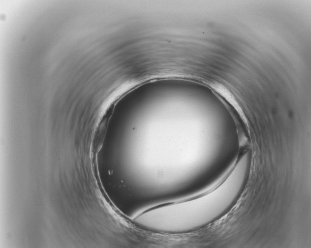 X0000086981197200704231811