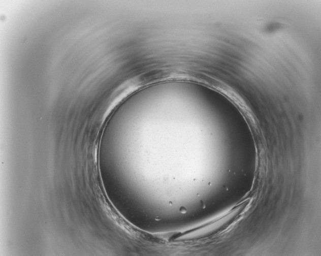 X0000086981198200704231811