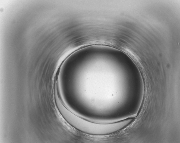 X0000086981200200704231811