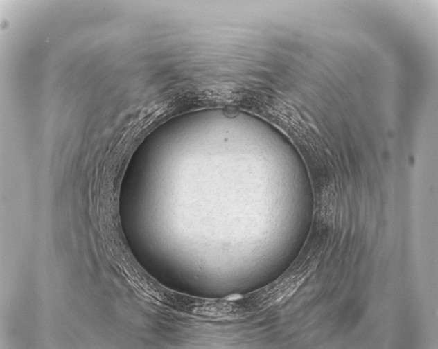 X0000086981201200704231811