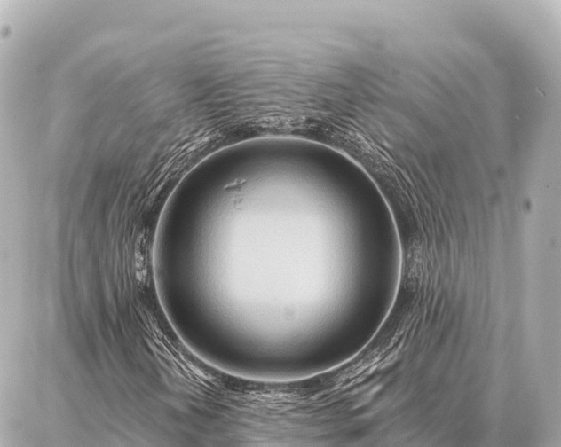 X0000086981202200704231811