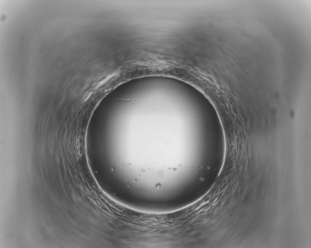 X0000086981205200704231811