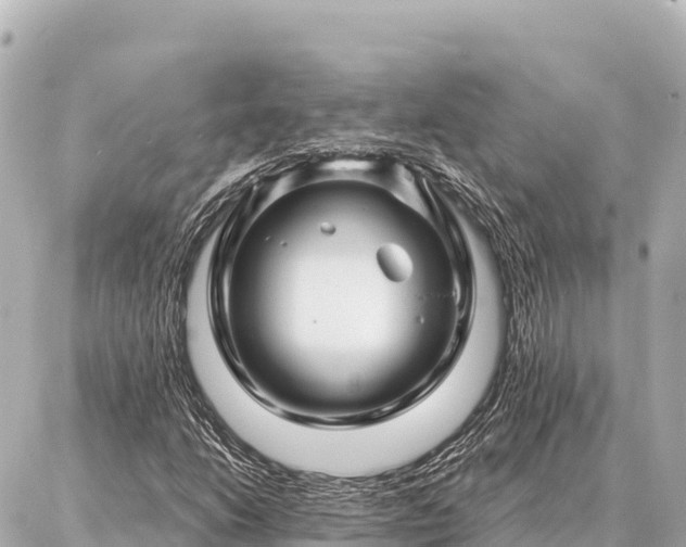 X0000086981206200704231811