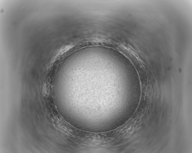 X0000086981207200704231811