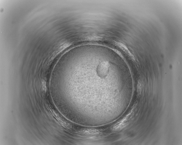 X0000086981209200704231811