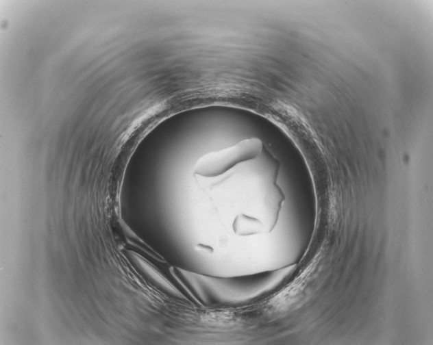 X0000086981210200704231811