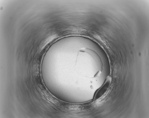 X0000086981211200704231811