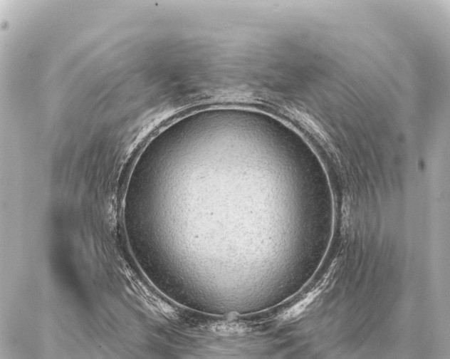 X0000086981212200704231811