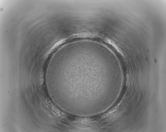 X0000086981213200704231811