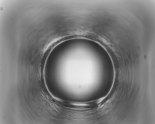 X0000086981214200704231811