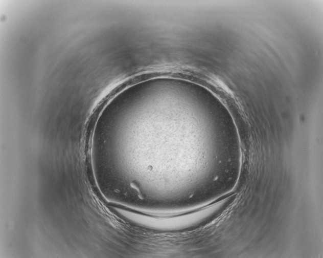 X0000086981216200704231811