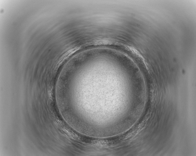 X0000086981217200704231811