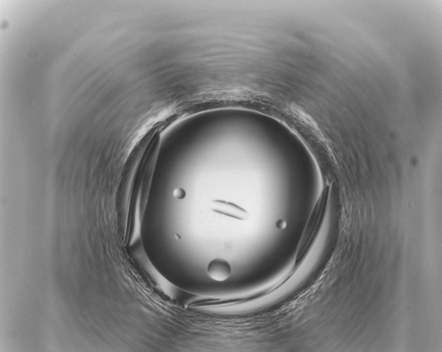 X0000086981218200704231811