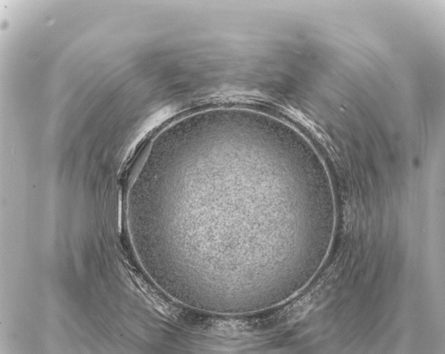 X0000086981219200704231811