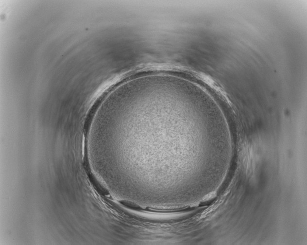 X0000086981221200704231811