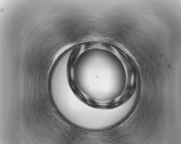 X0000086981222200704231811