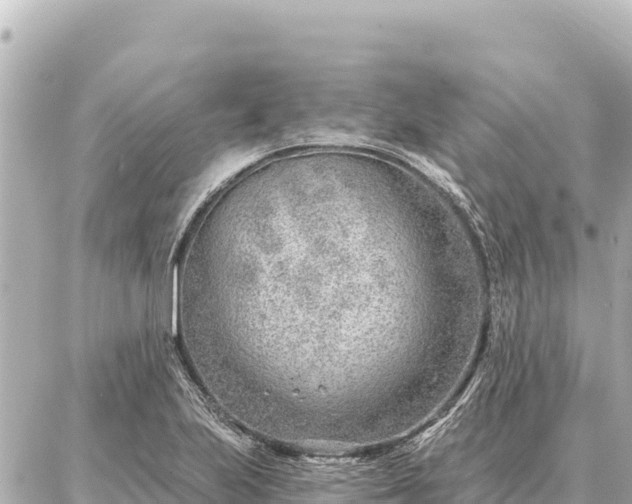 X0000086981223200704231811