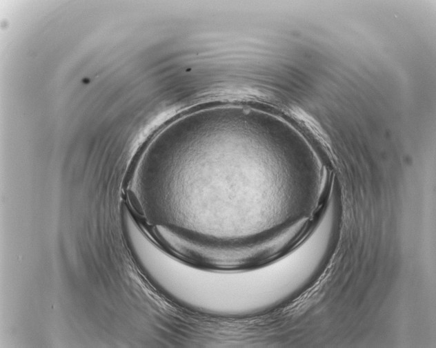 X0000086981226200704231811