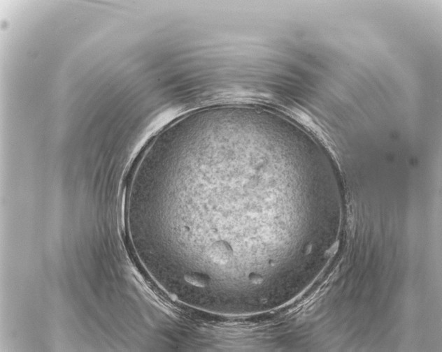 X0000086981227200704231811