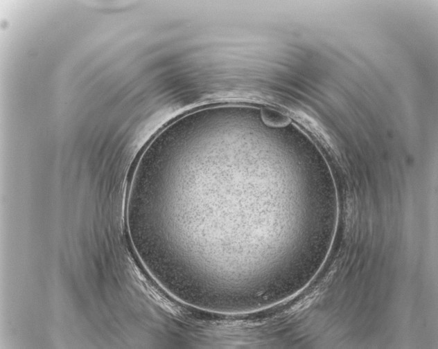 X0000086981228200704231811