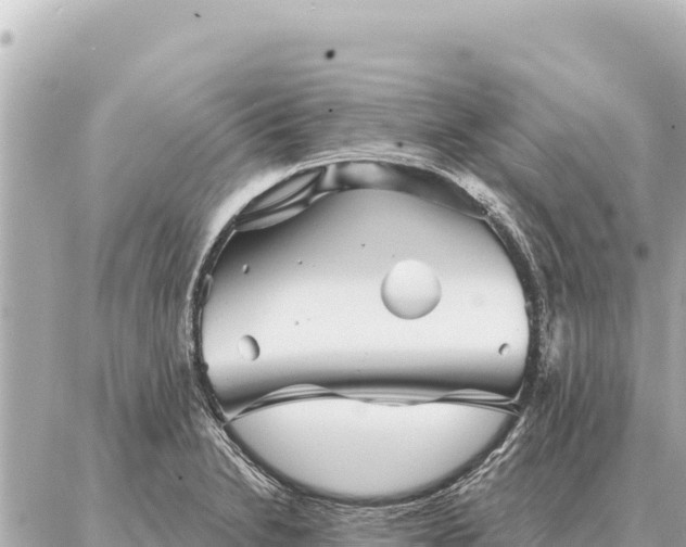 X0000086981230200704231811