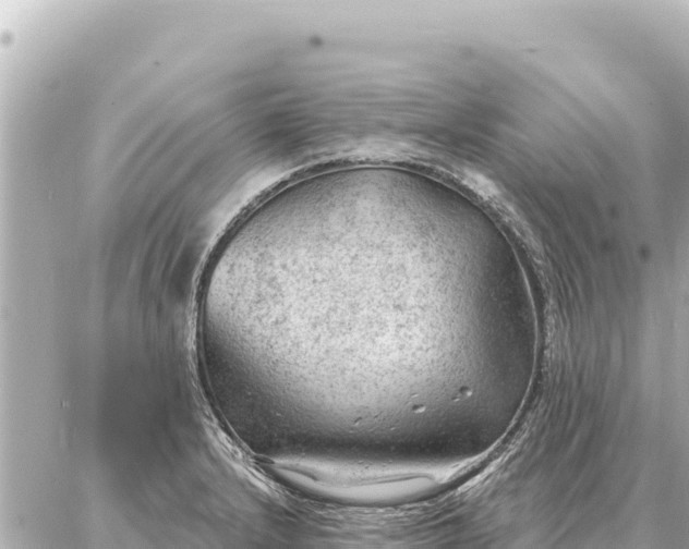 X0000086981232200704231811