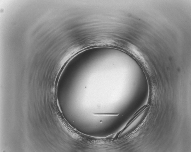 X0000086981234200704231811