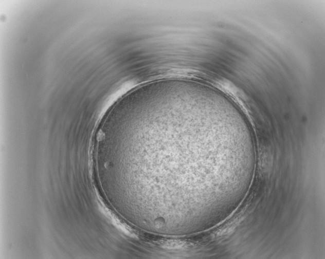 X0000086981235200704231811