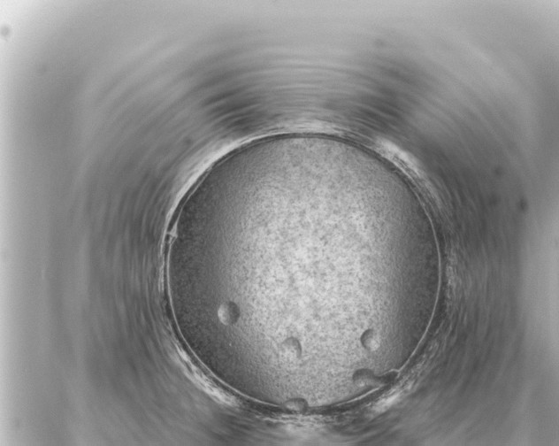 X0000086981236200704231811