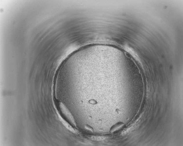 X0000086981237200704231811