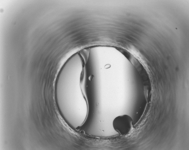 X0000086981238200704231811