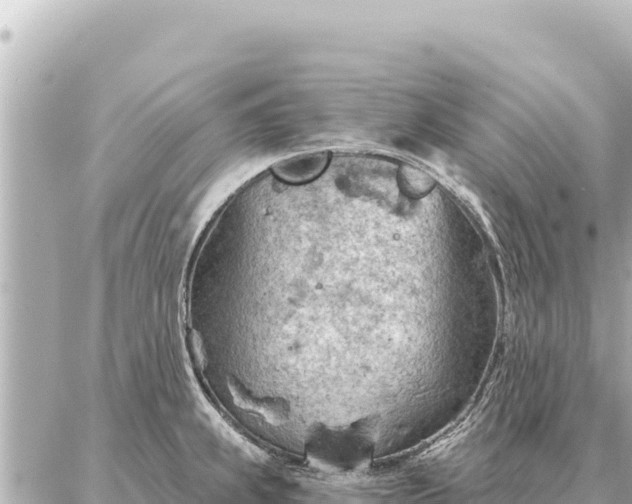 X0000086981239200704231811