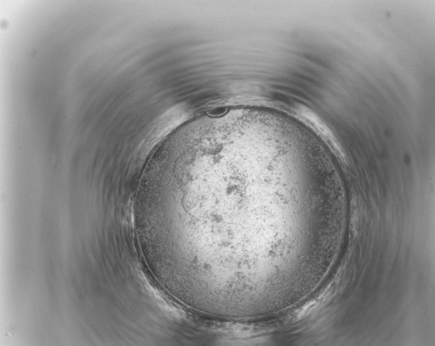 X0000086981241200704231811