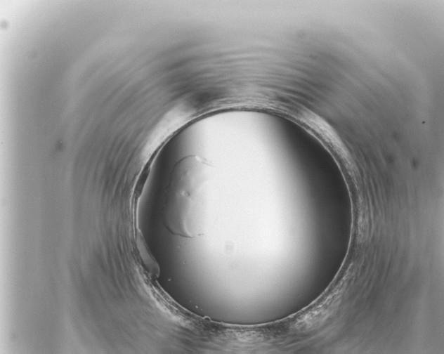 X0000086981242200704231811