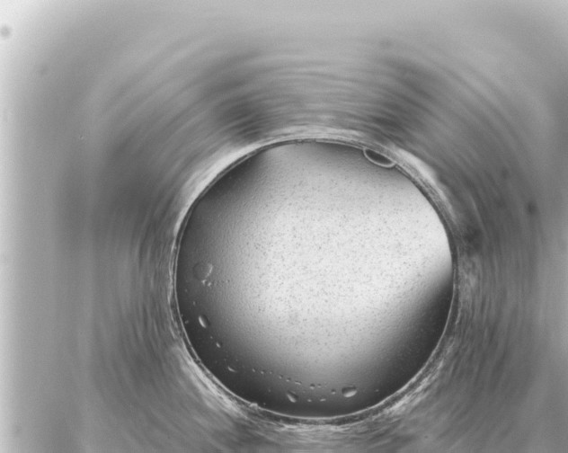 X0000086981244200704231811