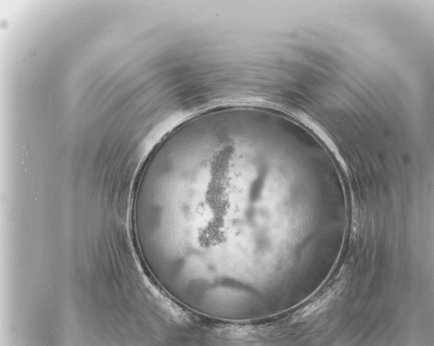 X0000086981245200704231811