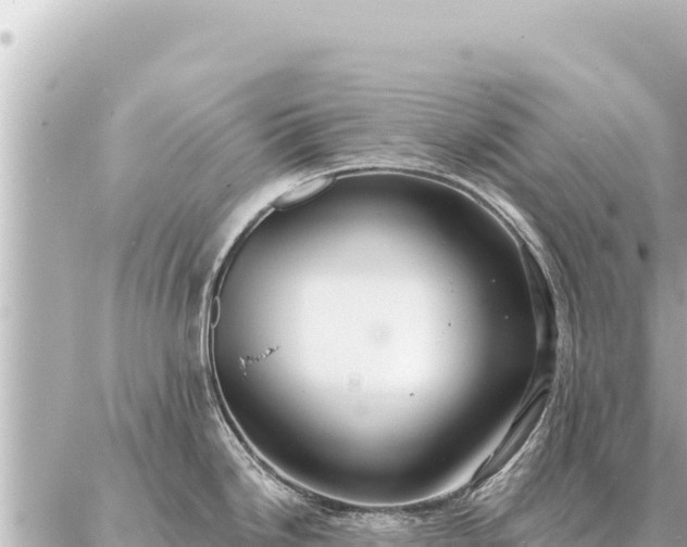 X0000086981246200704231811