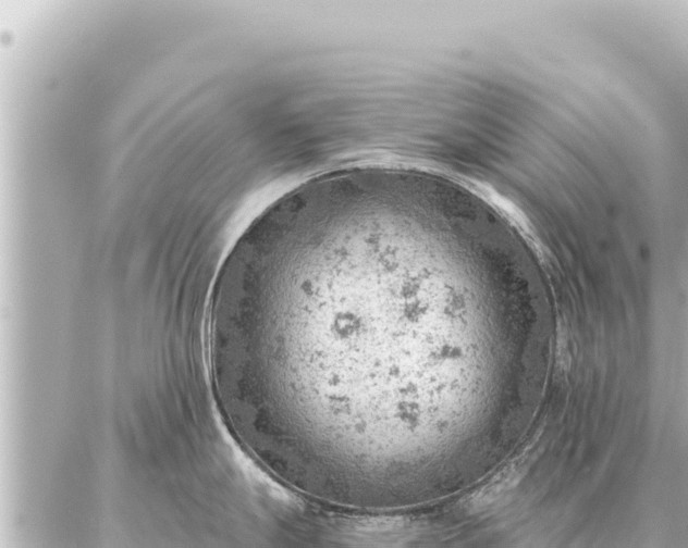 X0000086981247200704231811