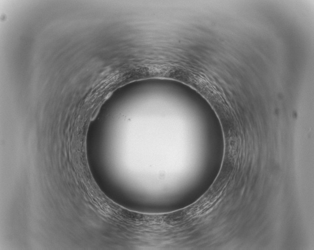 X0000086981249200704231811