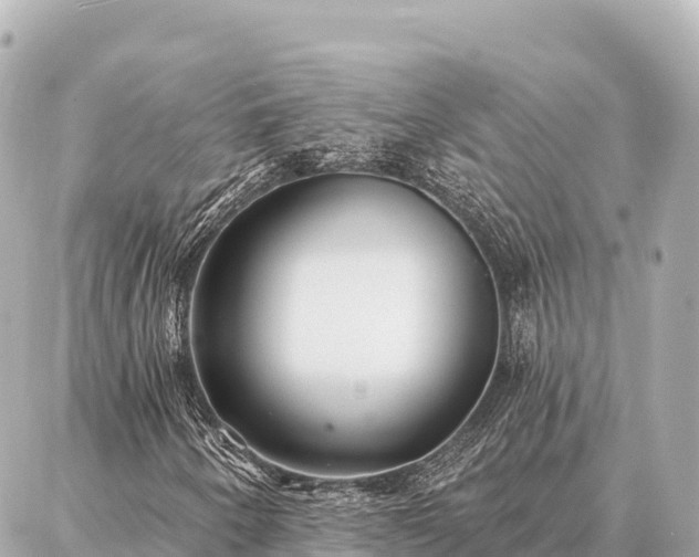 X0000086981250200704231811