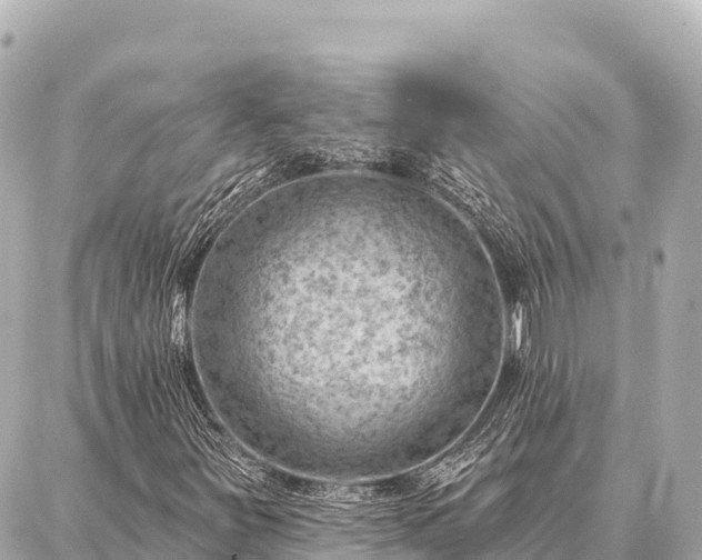 X0000086981251200704231811