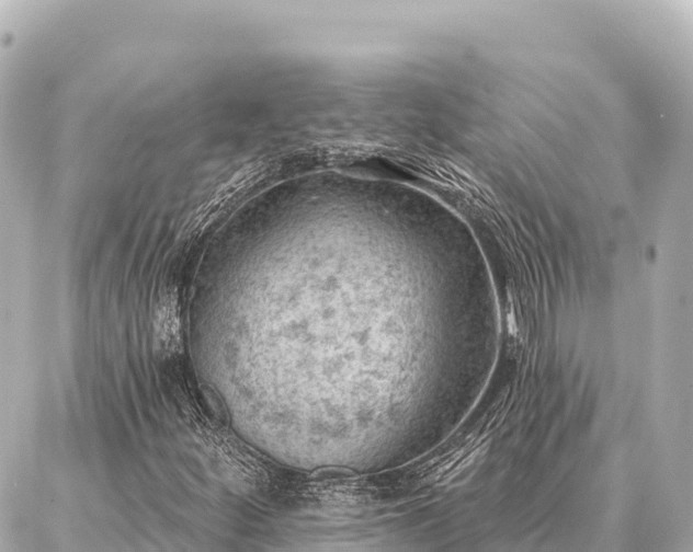 X0000086981252200704231811