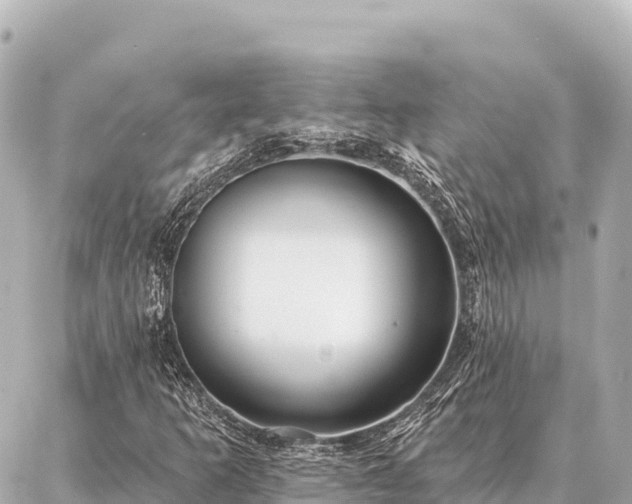 X0000086981253200704231811