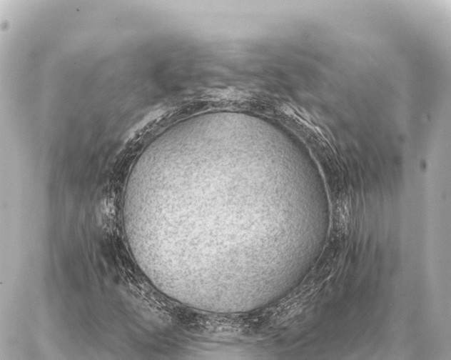 X0000086981254200704231811