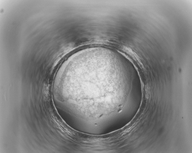 X0000086981260200704231810