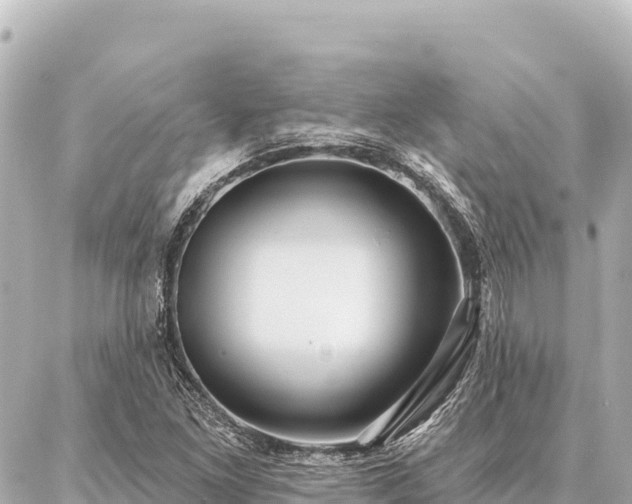 X0000086981261200704231810