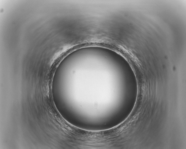 X0000086981262200704231810